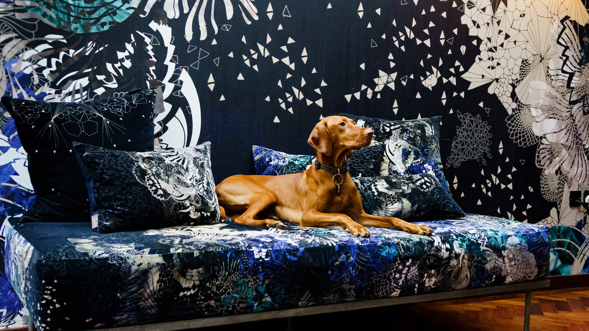 Sophie Darling Feature In Viva Magazine