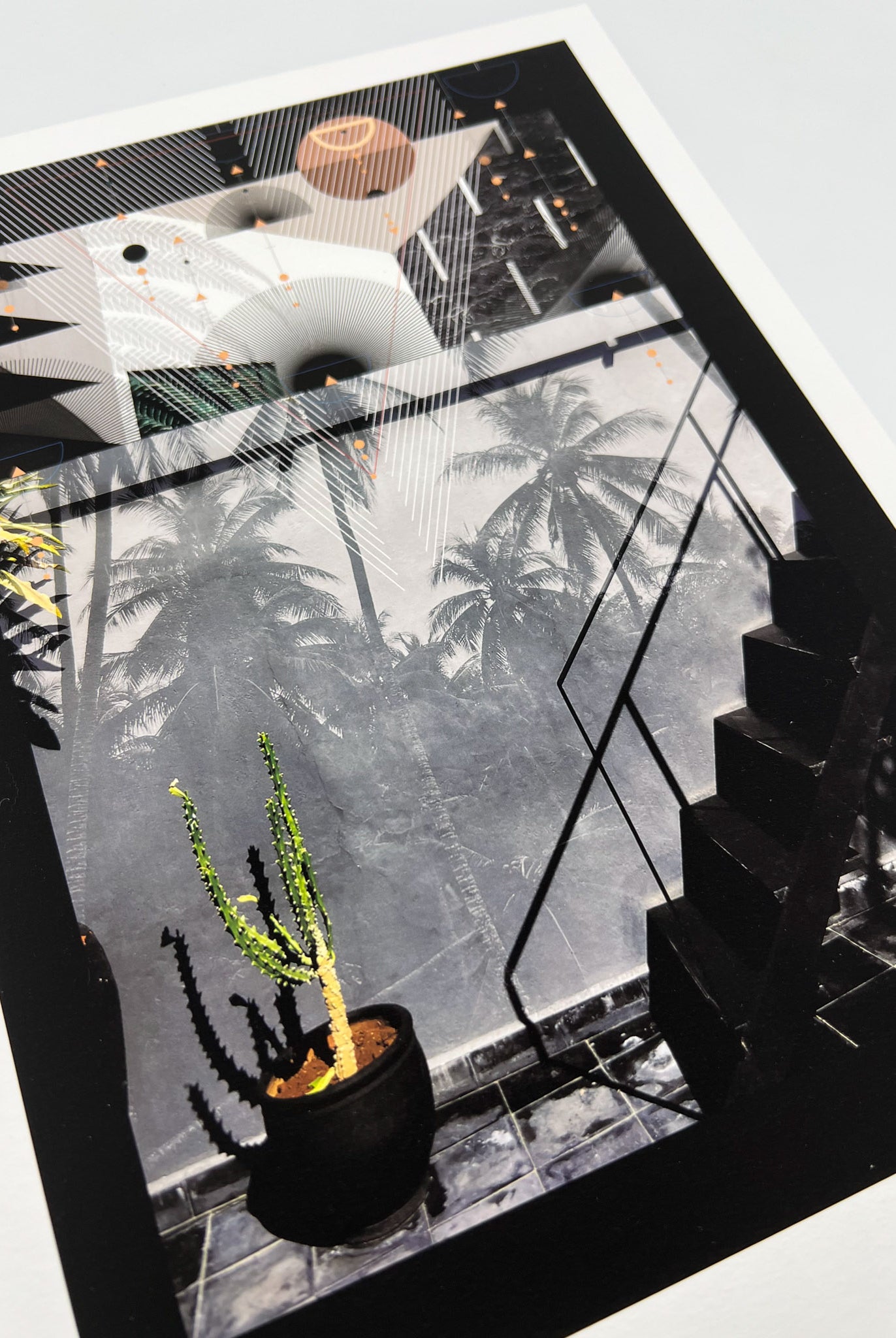 A giclee print with stairs, cactus, palm trees and overlaid geometric shapes in black white and pink