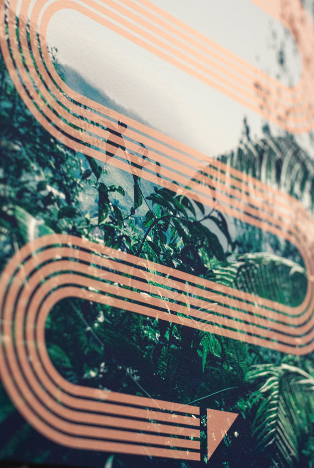 Sophie Darling FIne Art