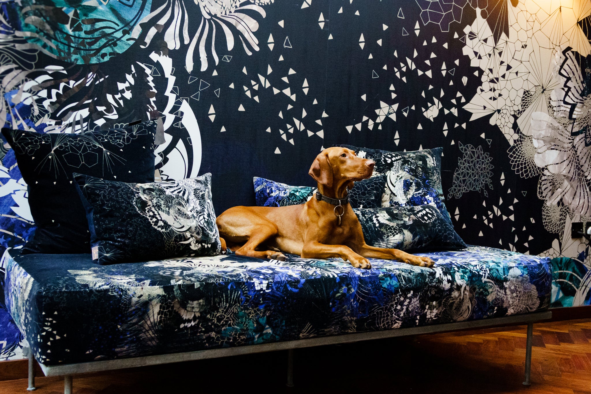 Sophie Darling Feature In Viva Magazine