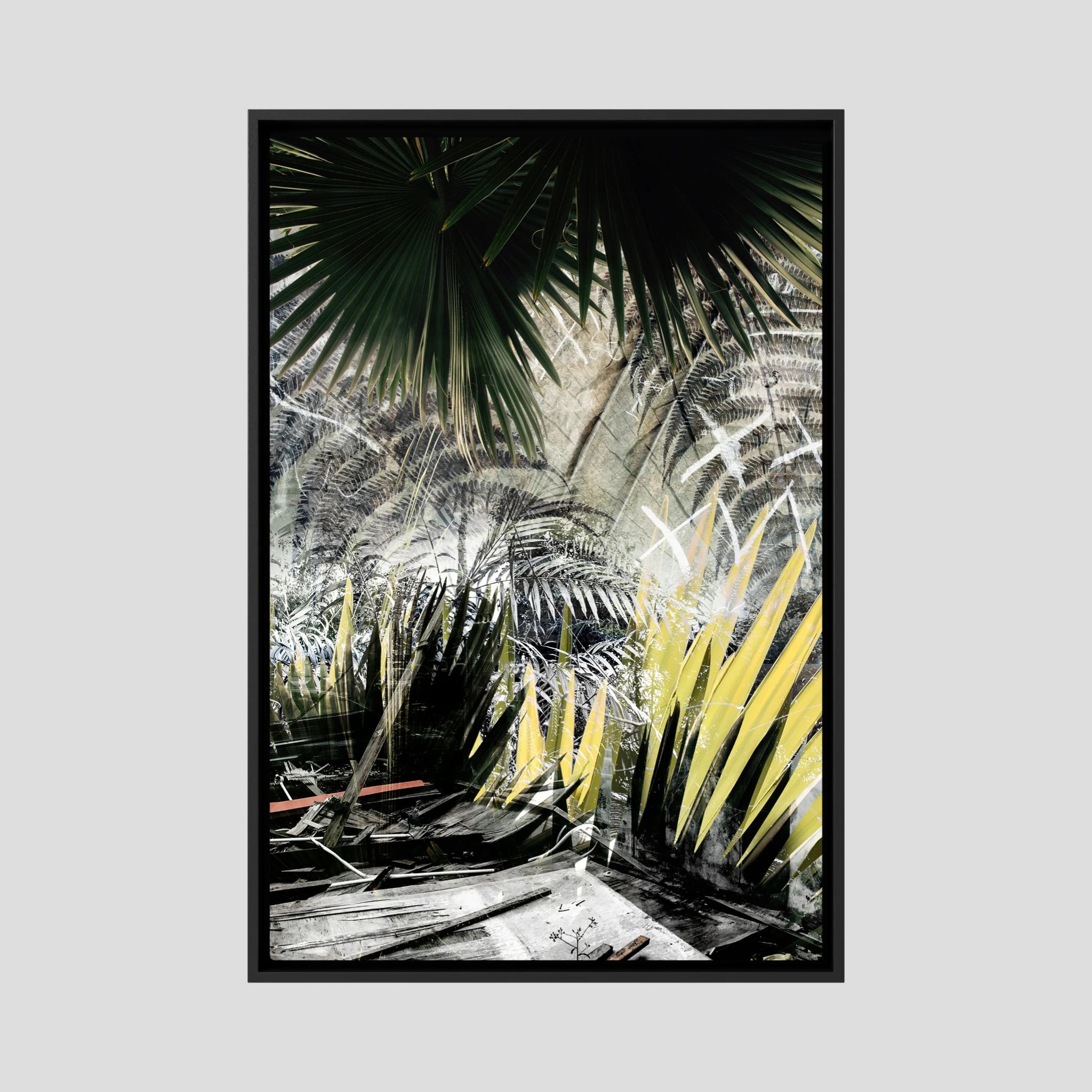 Fern