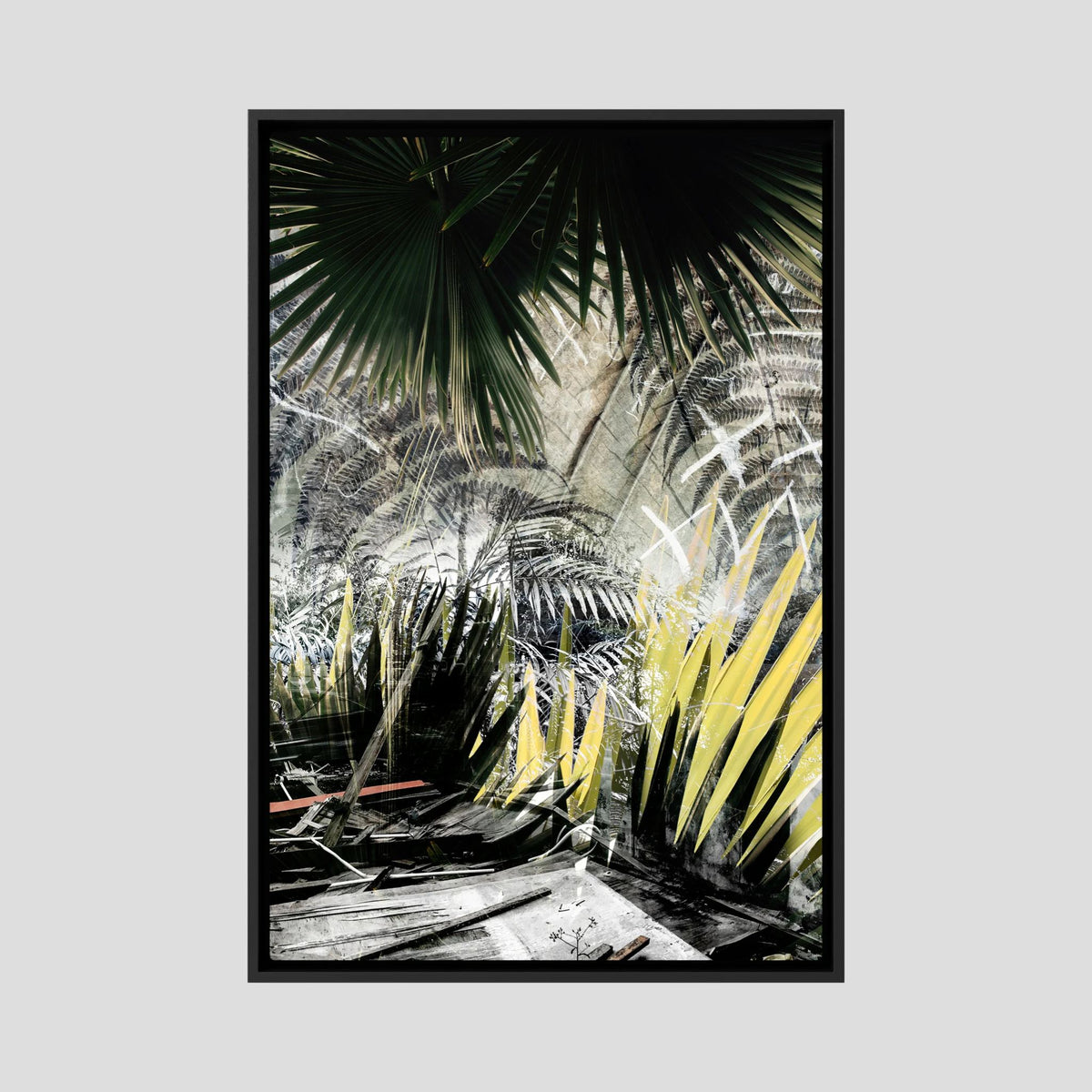 Fern