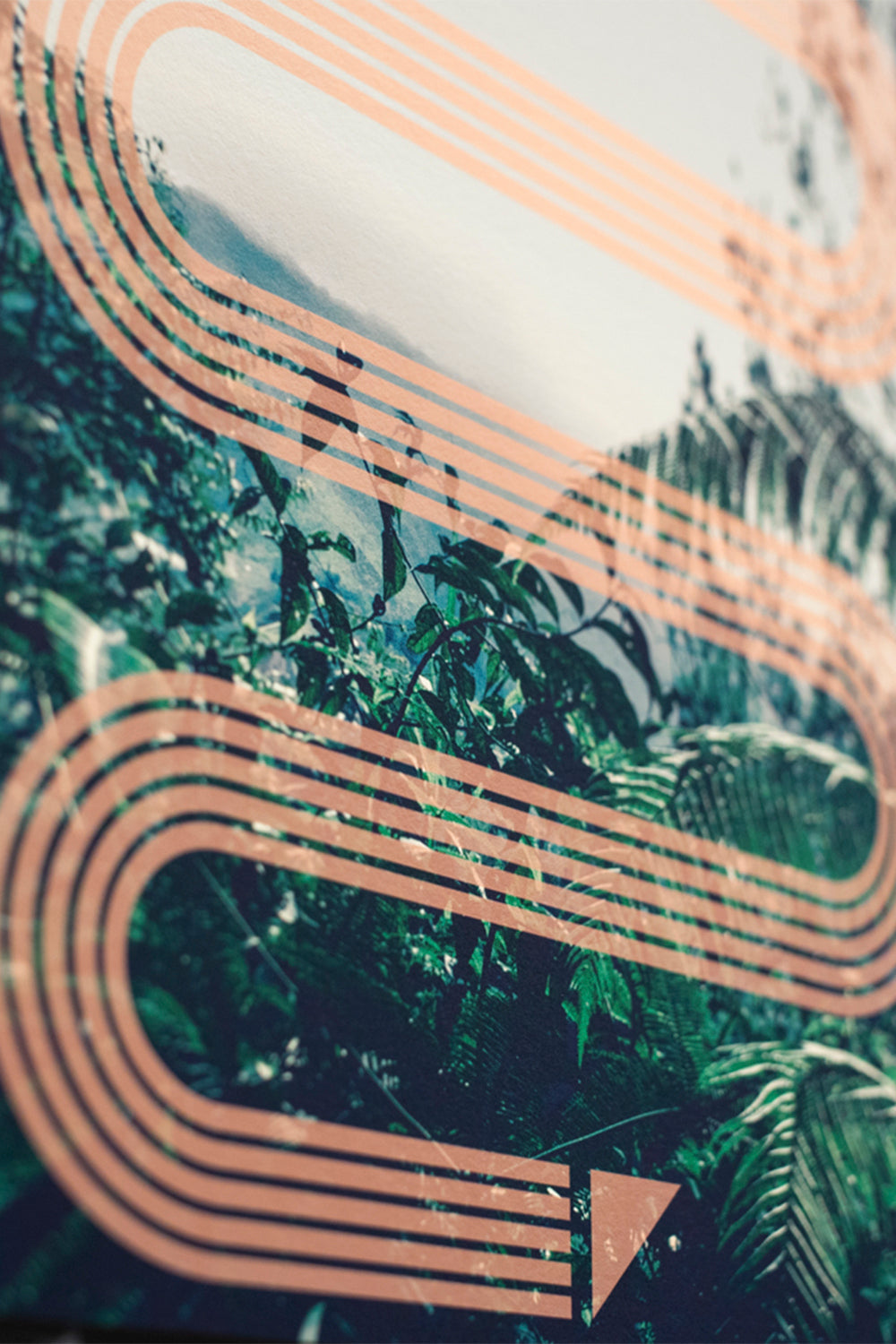 Sophie Darling FIne Art